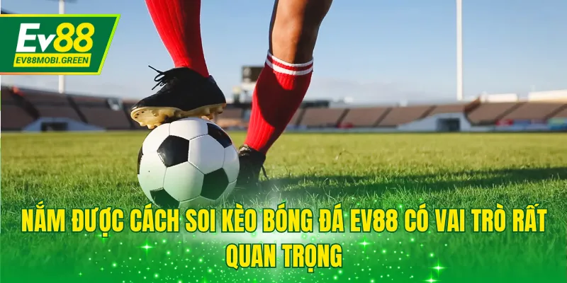 Nắm được cách soi kèo bóng đá EV88 có vai trò rất quan trọng
