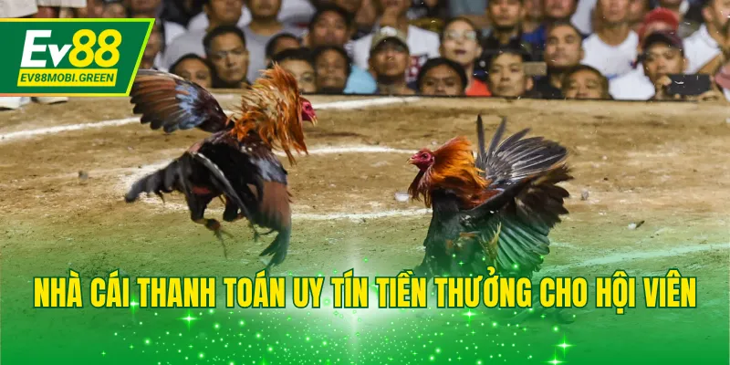 Nhà cái thanh toán uy tín tiền thưởng cho hội viên